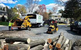 Best Storm Damage Tree Cleanup  in Elizabeth, CO